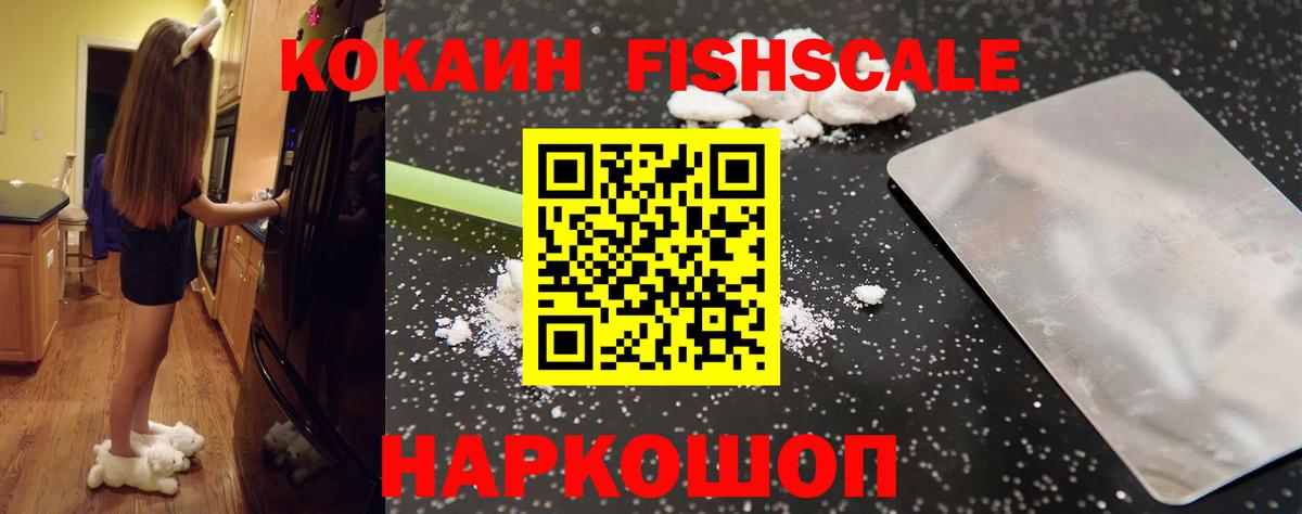 Cocaine Fish Scale  Вход с VPN  Кокаин 98%  Карачаевск 