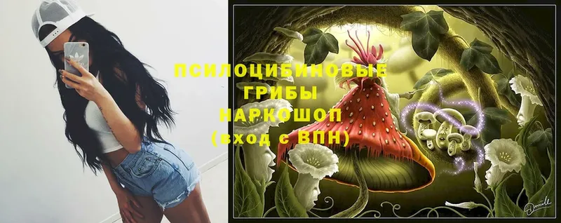 Галлюциногенные грибы MAGIC MUSHROOMS  Карачаевск 