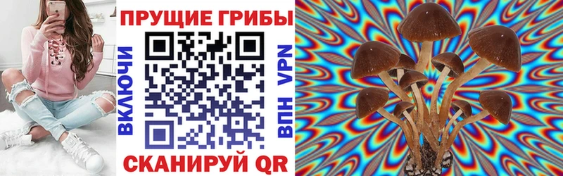 MEGA рабочий сайт  Карачаевск  Псилоцибиновые грибы мухоморы  купить наркоту 