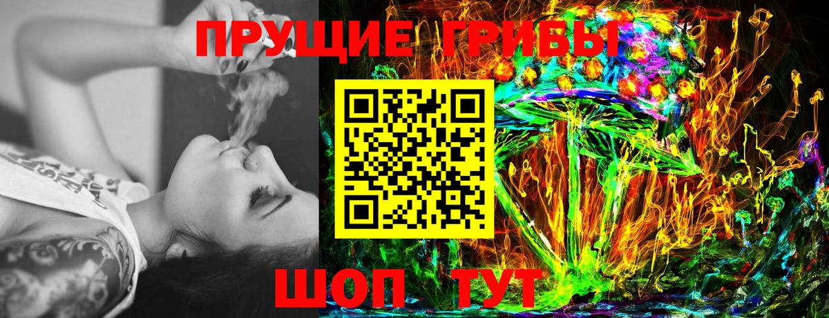 Псилоцибиновые грибы Psilocybine cubensis  Псилоцибиновые грибы Magic Shrooms  Карачаевск 