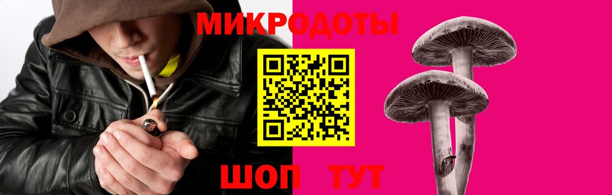 Карачаевск  Галлюциногенные грибы прущие грибы  Вход с VPN 