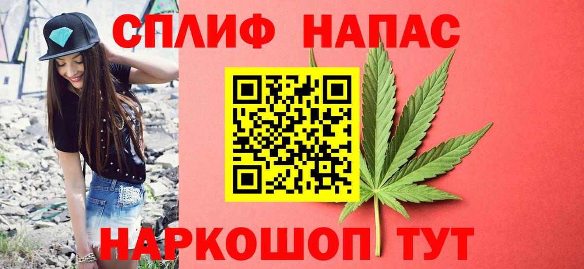 Марихуана сатива  Канабис гибрид  Канабис план  Канабис планчик  Карачаевск  Вход с VPN 